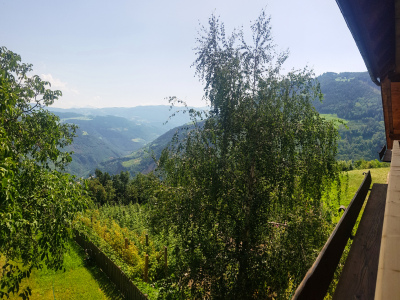 Balkon Aussicht im Mai 1