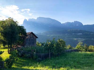 Sommer - Garten & Schlernblick