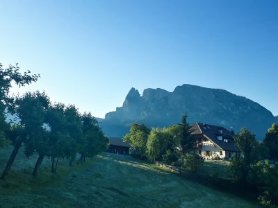 Sommer - morgens