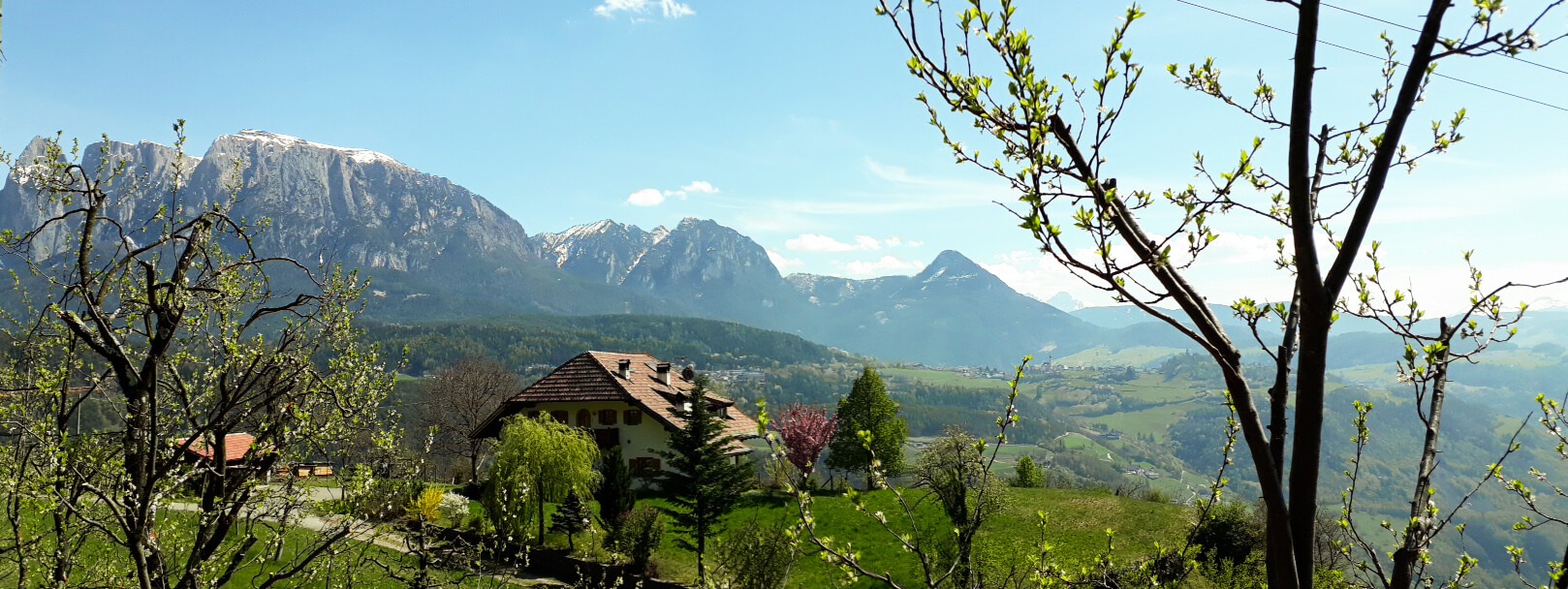 Panorama Ferienwohnung