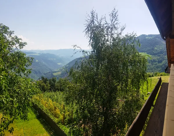 Vista dal balcone a maggio 1
