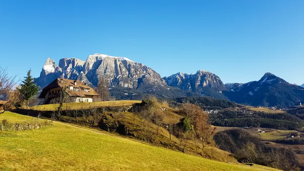 Gennaio, senza neve 1