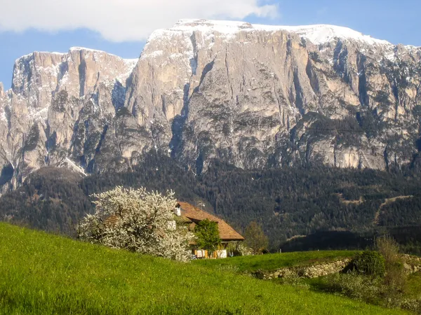 Risveglio di primavera sullo Sciliar