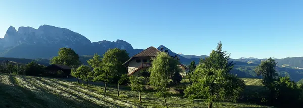 Estate - in tarda mattinata