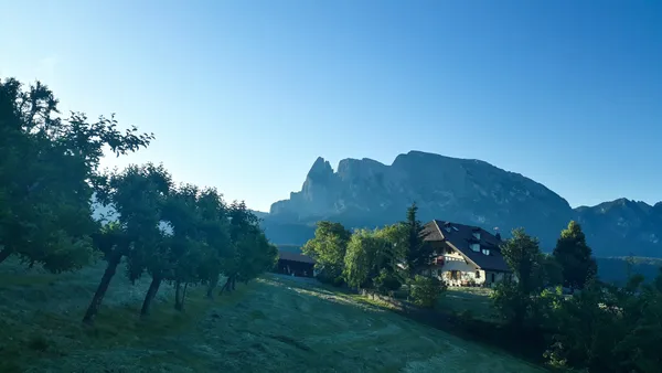 Estate - al mattino presto
