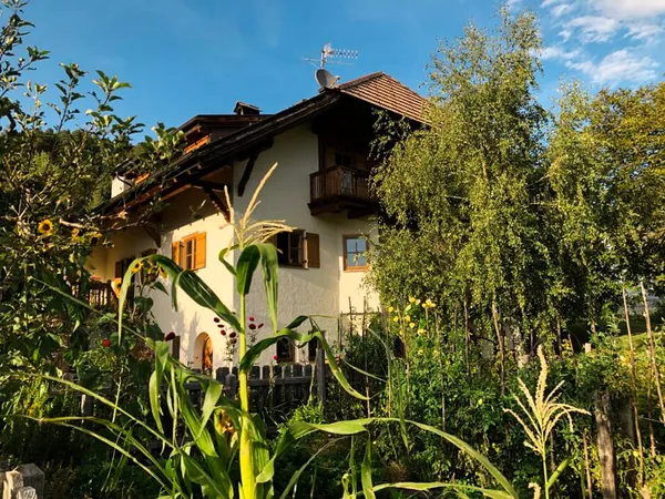 Il nostro giardino in estate